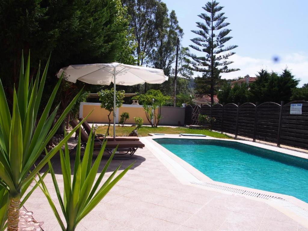 Villa Adonis With Private Pool By Lefkadastay Eksteriør bilde